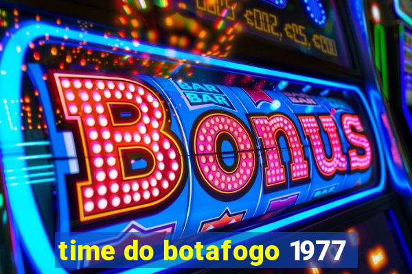 time do botafogo 1977